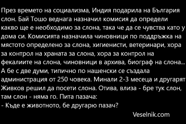 През времето на социализма администрация