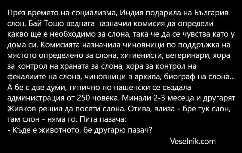 администрация