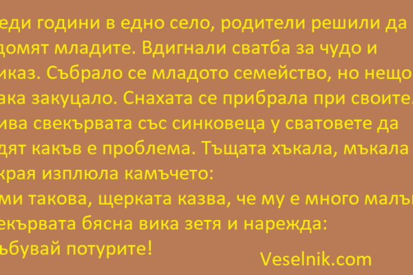 семейство