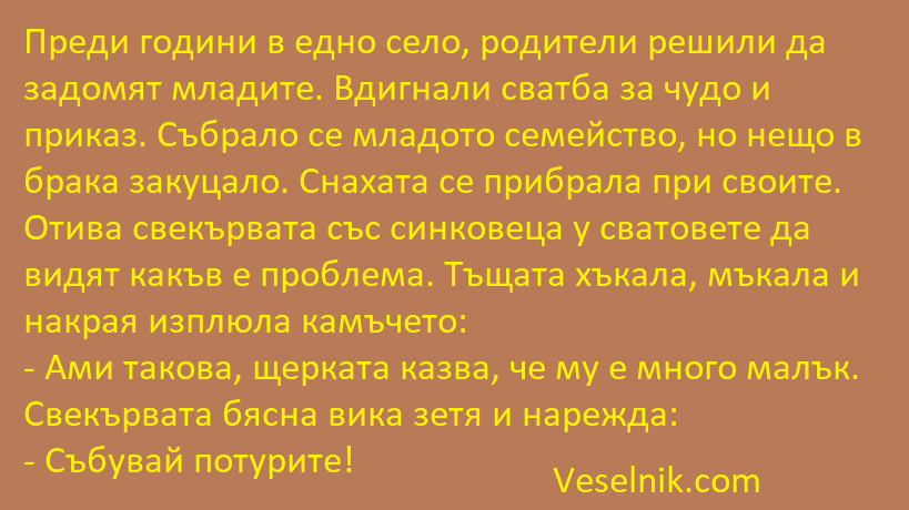 семейство