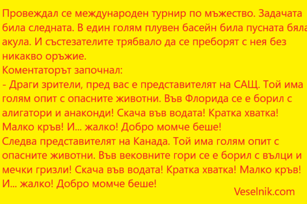 международен