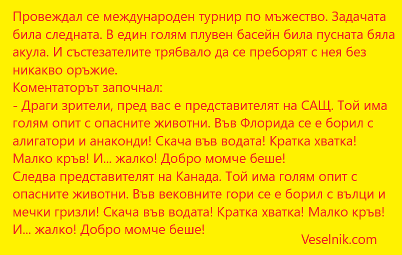 международен