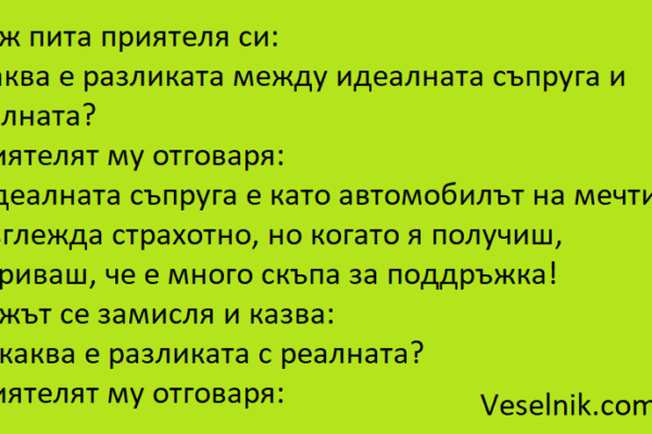 Разликата между идеалната съпруга и реалната приятел