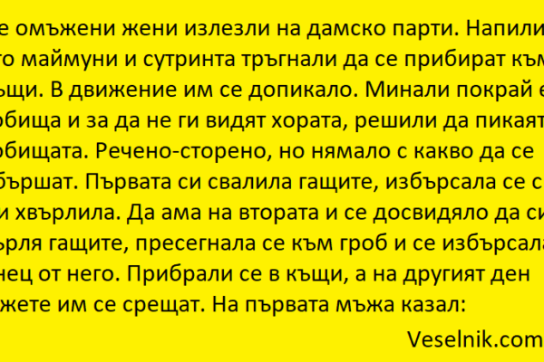 Две омъжени жени излезли на дамско парти жени