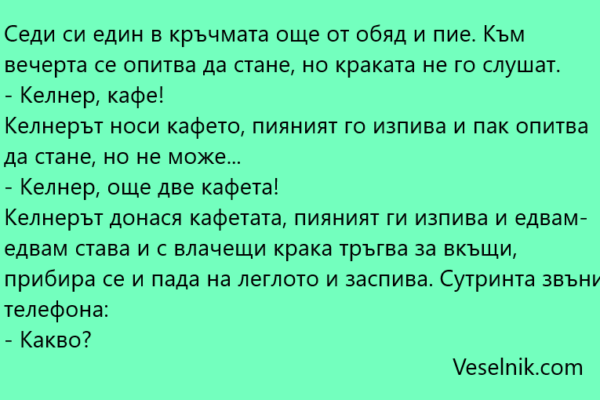 Седи си един в кръчмата още от обяд и пие крак
