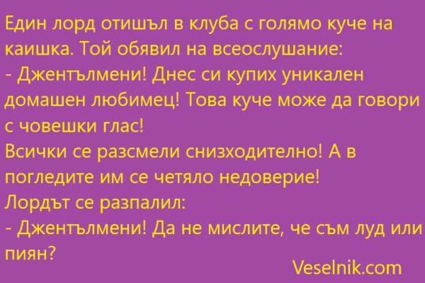 Един лорд отишъл в клуба с голямо куче