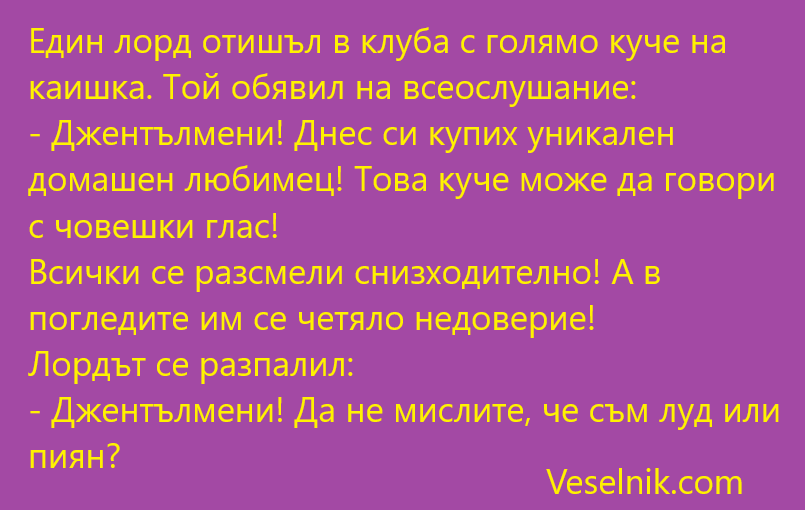 куче