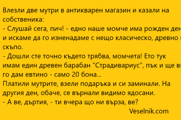 Влезли две мутри в антикварен магазин мутри