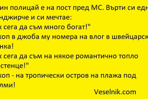 Един полицай е на пост пред МС полицай